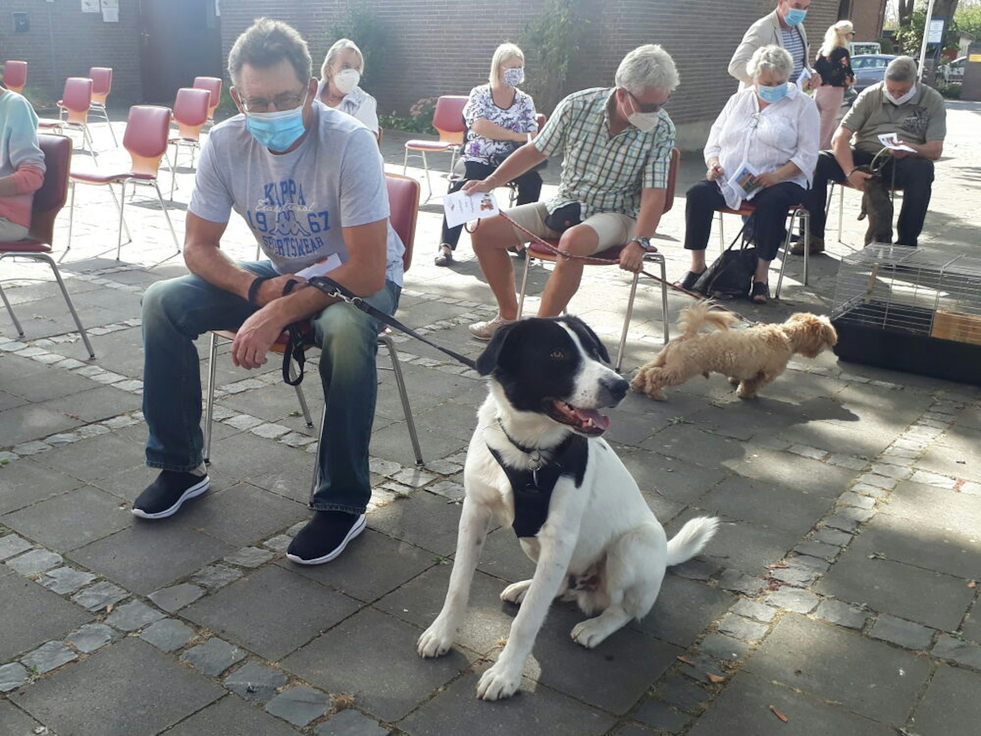 Waldemar Kocor kam mit seinem Hund Iwar. Etwa 50 Tierbesitzer kamen zur Segnung.