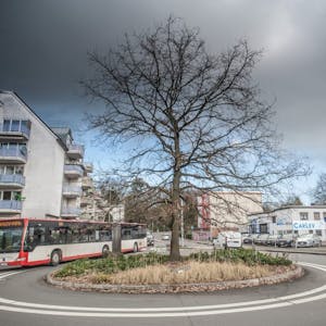 Ein knappes Jahr könnte der Umbau des Rennbaumkreisels in Opladen dauern und zu erheblichen Verkehrsstörungen führen.
