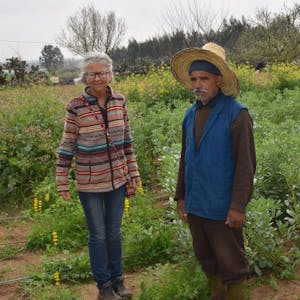 Ein Feld des FAP-Projekts in Marokko inspiziert Stefanie Christmann mit Landwirt Mohamed Kal.