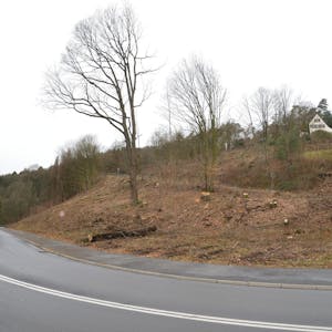 Die Hauptstraße nach Altenberg, an der Manfred Müller wohnt, ist kaum wiederzuerkennen, seit Straßen NRW hier großflächig Bäume und Sträucher gefällt hat.