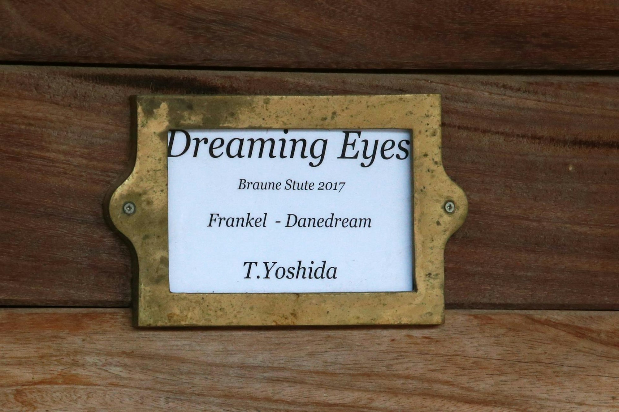 Dreaming Eyes Stall