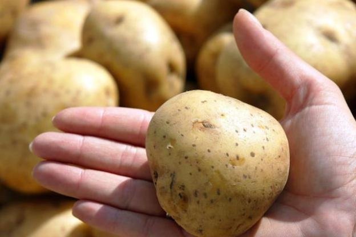 Kartoffeln stecken voller Ballaststoffe, die dafür sorgen, dass wir lange satt bleiben.