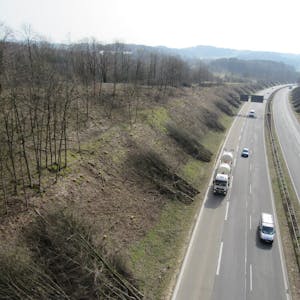 Entlang der mehrspurigen Bundesstraße zwischen Derschlag und Sengelbusch wurden viele Bäume abgeholzt.