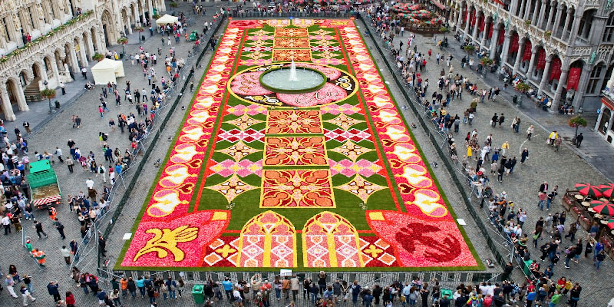 Der Blumenteppich in Brüssel verzaubert mit seinen leuchtenden Farben.