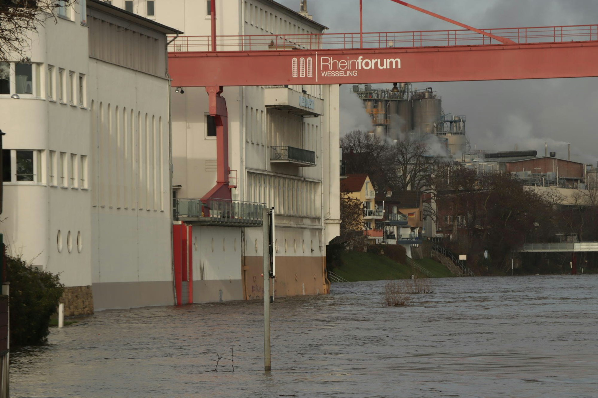 Rhein-Pegel Wesseling Rheinforum