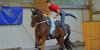 Justin van Gerven mit Voltegierpferd Holly.