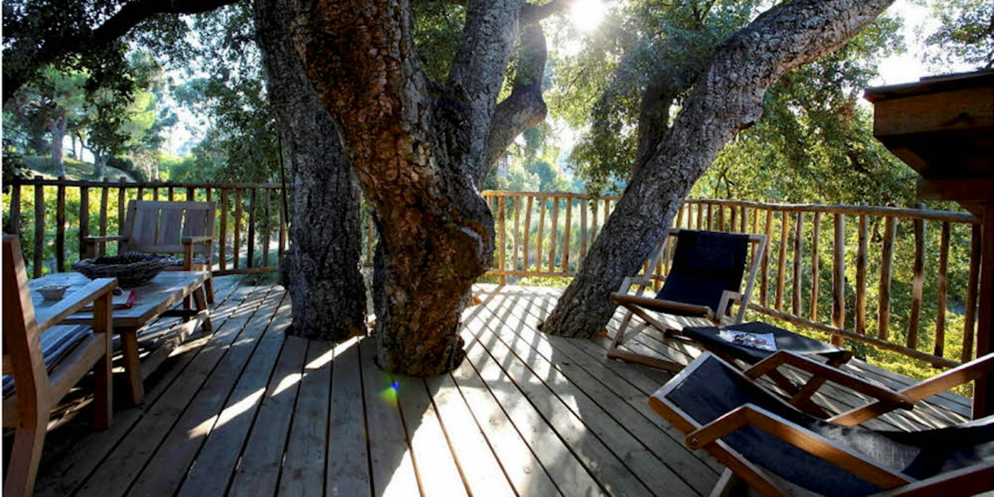 Eine Terrasse in den Baumwipfeln: An solchen Referenzobjekten orientiert sich die Planung.