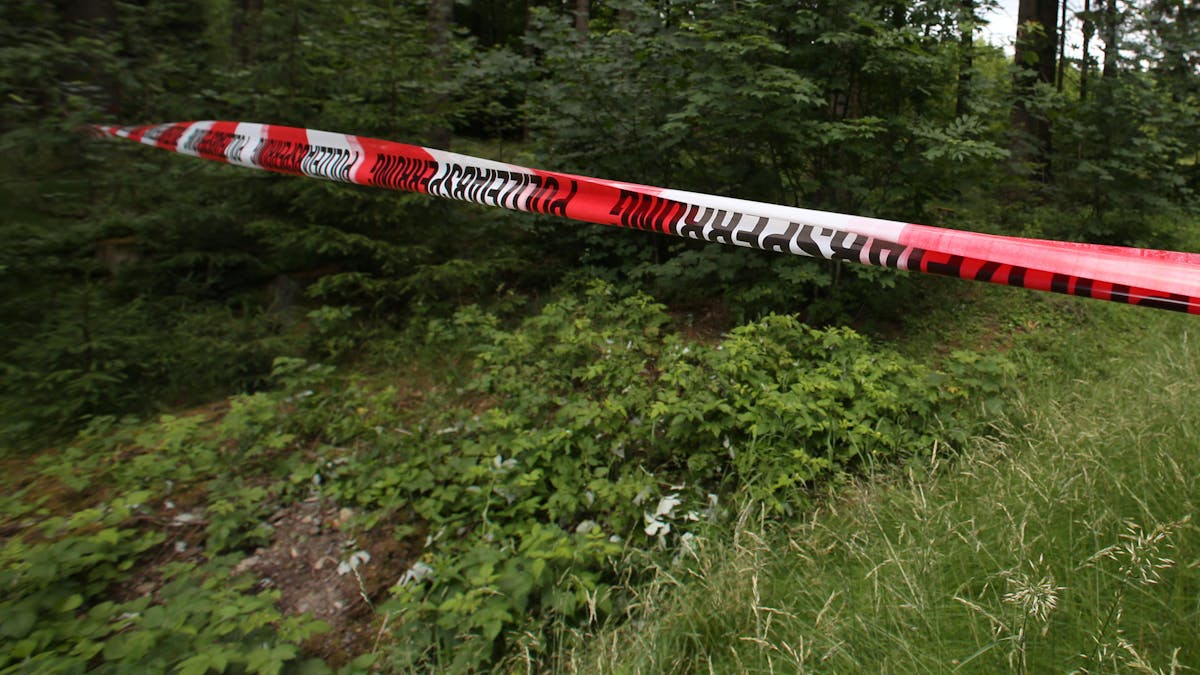 Das Foto zeigt einen mit Polizei-Flatterband abgesperrten Bereich in einem Waldstück.
