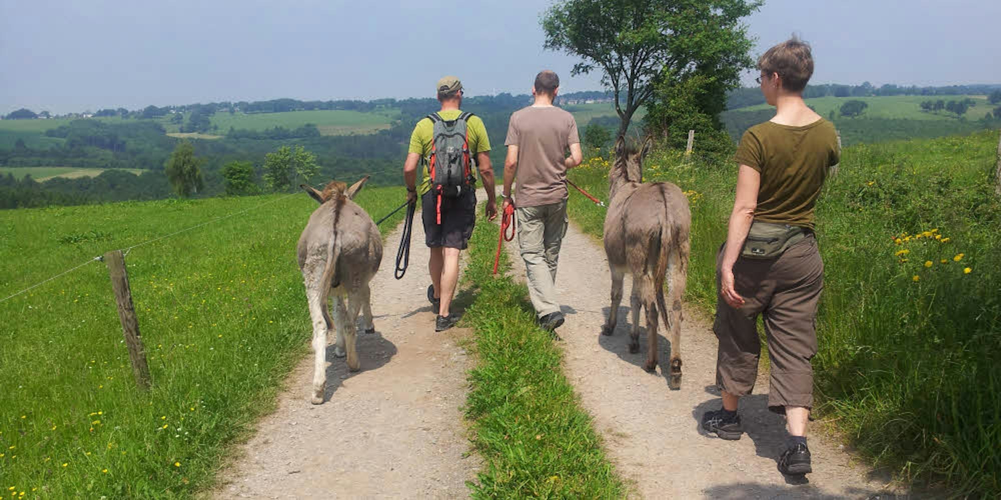 Gemütlich geht es zu bei einer Wanderung mit den beiden Eseln Arthur und Melodie von „Donkability“ aus Rurberg. Denn: Der beste Coach für Gelassenheit habe lange Ohren, so Birgit Kallenberg.