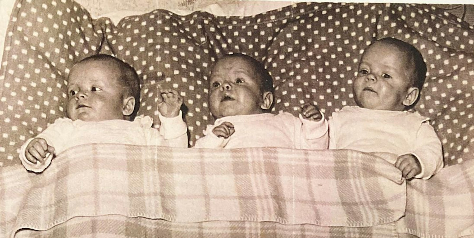 Zwei Monate zu früh wurden Hermann, Wilma und Norbert (v.l.) geboren.