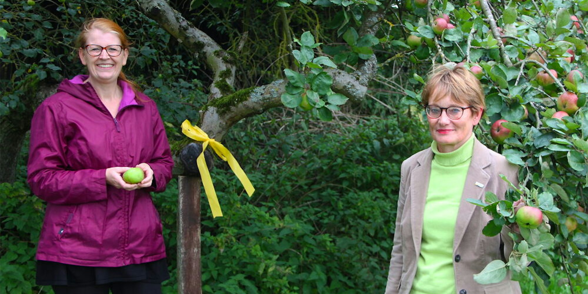 Für die Ernteaktion an Bäumen, die mit einem gelben Band gekennzeichnet sind, werben Judith Maur (l.) und Simone Böhm.