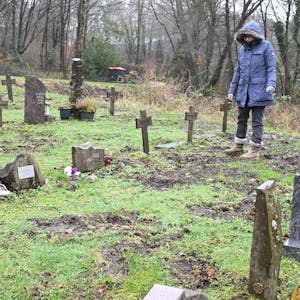 Wildschweine haben etwa 70 Gräber auf dem Gronauer Friedhof regelrecht platt gewalzt.
