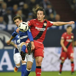 Kämpfer im Einsatz: Baumgartlinger (r.) gegen Schalkes Leon Goretzka.