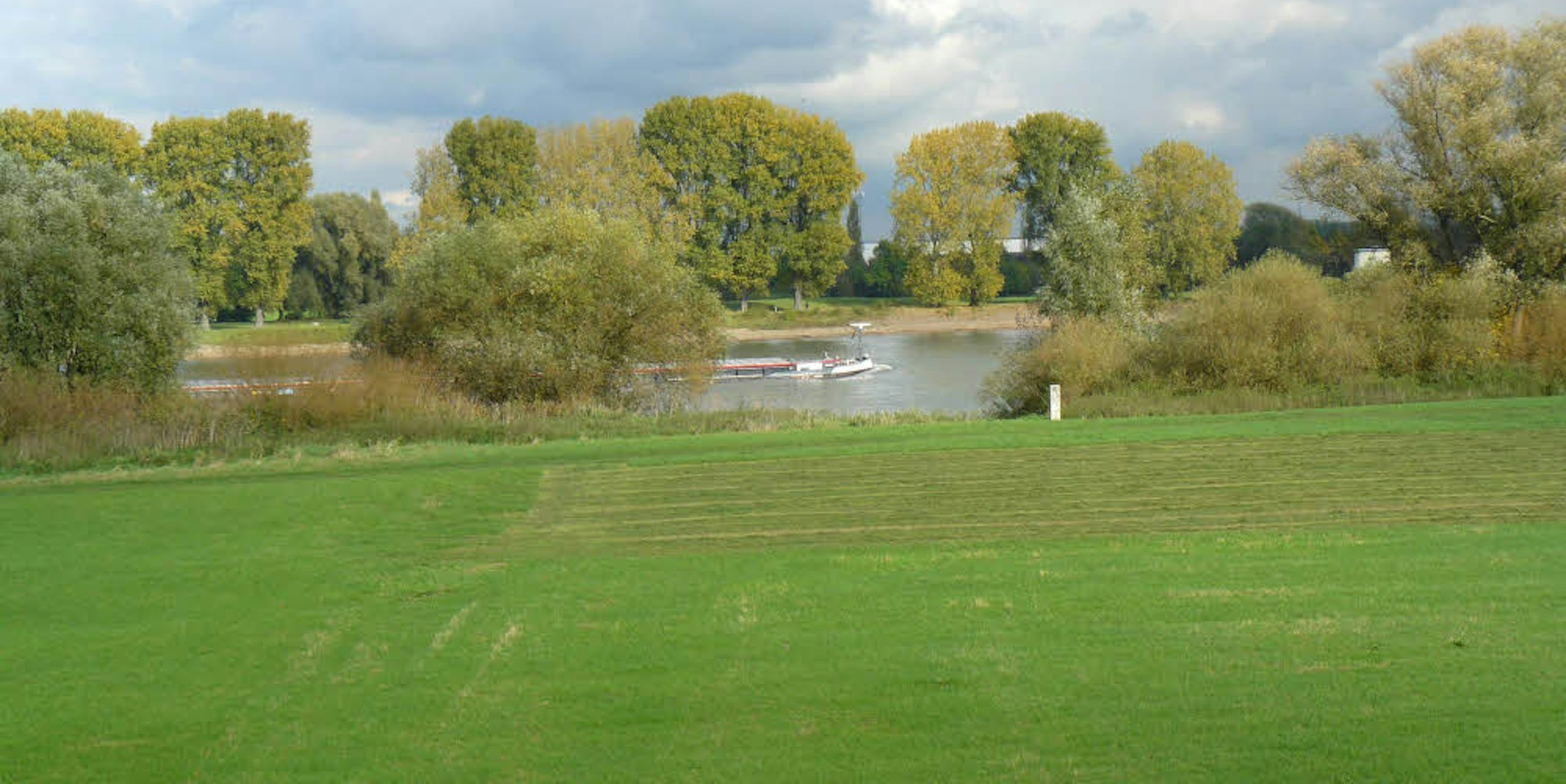 Das Rheinufer bietet gerade im Herbst ein malerisches Bild, doch die Idylle ist bedroht, weil viele Besucher auf die empfindliche Natur keine Rücksicht nehmen.