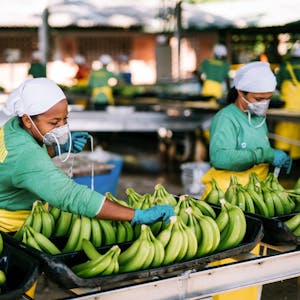 Bananen_Beschäftigte in Kolumbien_c_Christoph Köstlin-Fairtrade
