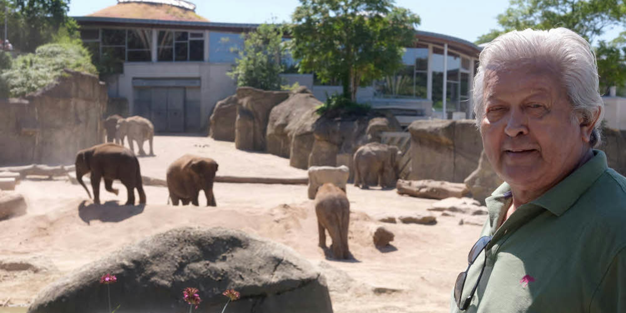 Lieblingsplatz am Elefantenpark: Von hier aus hat Brian Batstone einen Überblick über die Anlage, im Vordergrund spielen die jüngsten Elefanten in einem Sandhaufen.