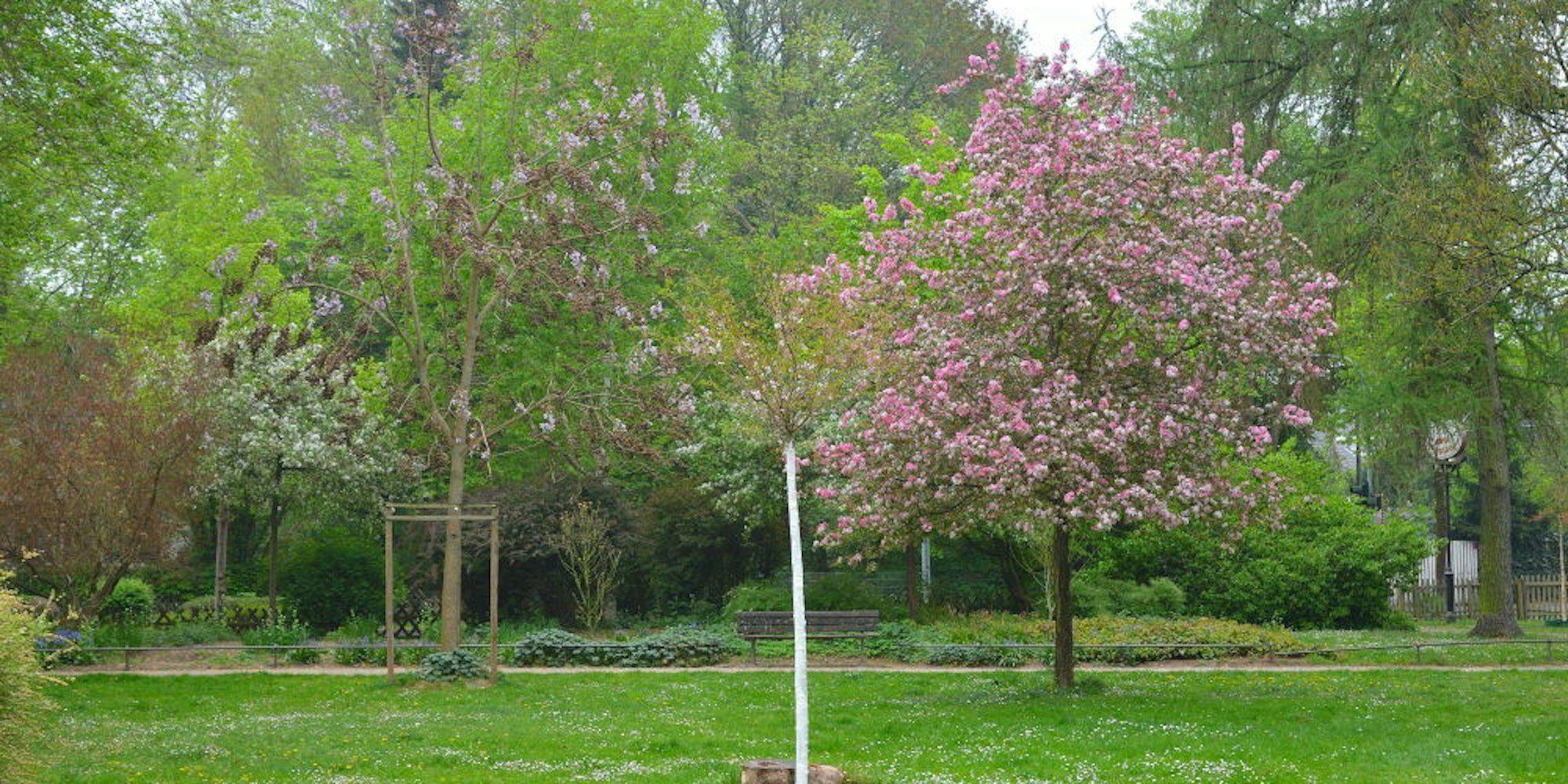 Zum Flanieren lädt der Park ein. Der Bauboom der letzten Jahre hat die grünen Oasen weniger werden lassen.