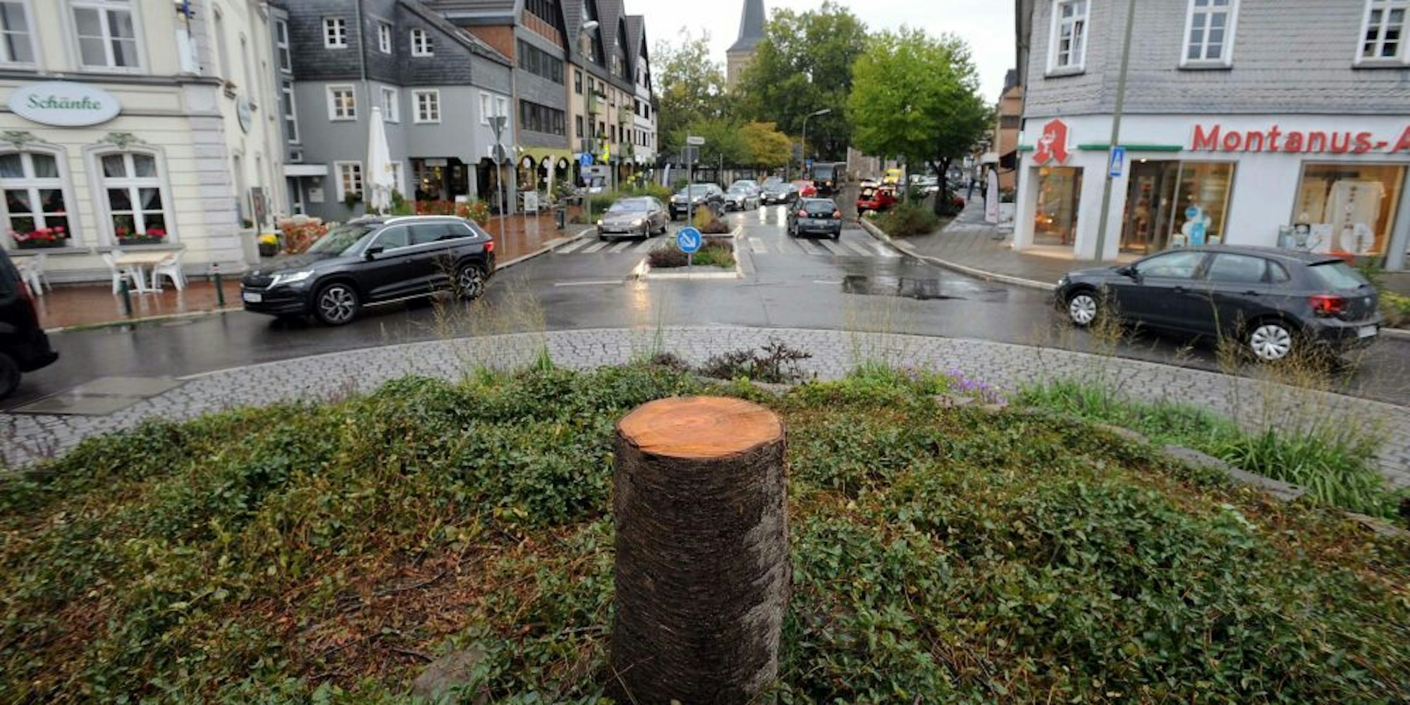 Von dem Kirschbaum in der Mitte des Kreisverkehrs an der Kirchstraße ist nur der Stumpf übrig geblieben.
