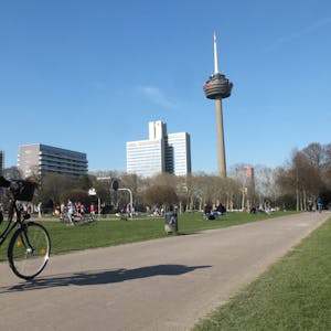 Im Grüngürtel zwischen Venloer und Vogelsanger Straße sind viele bewegte und sporttreibende Kölner zu finden.