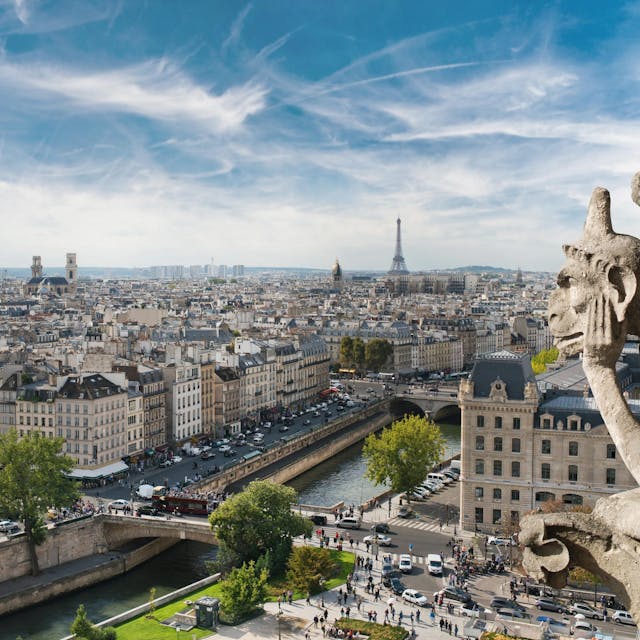 Paris_Wasserspeier Notre Dame