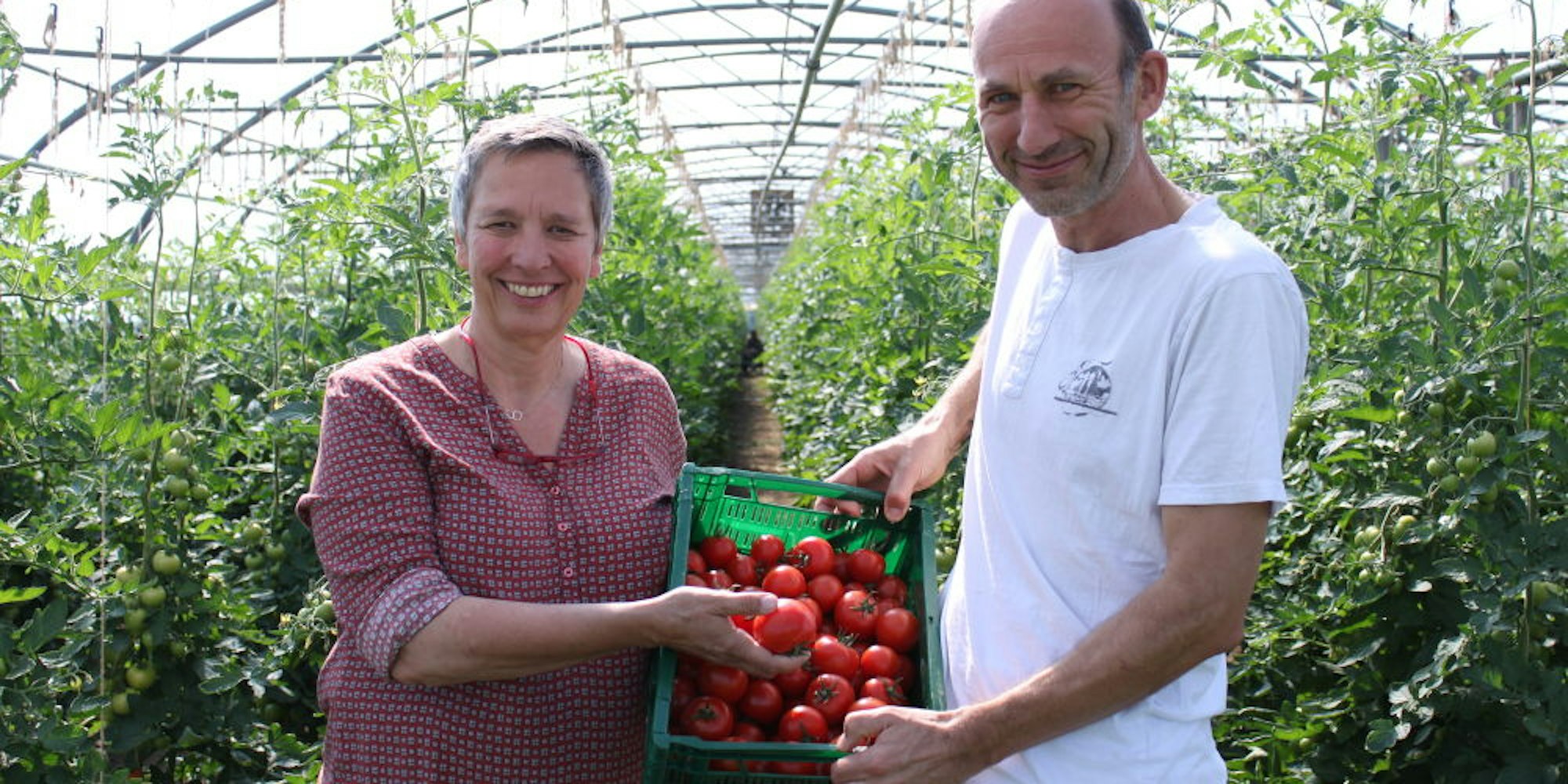 Irene van Geldern und Lothar Tolksdorf vom Biohof Bursch bei ihren Tomaten-Pflanzen.