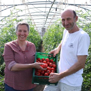 Irene van Geldern und Lothar Tolksdorf vom Biohof Bursch bei ihren Tomaten-Pflanzen.