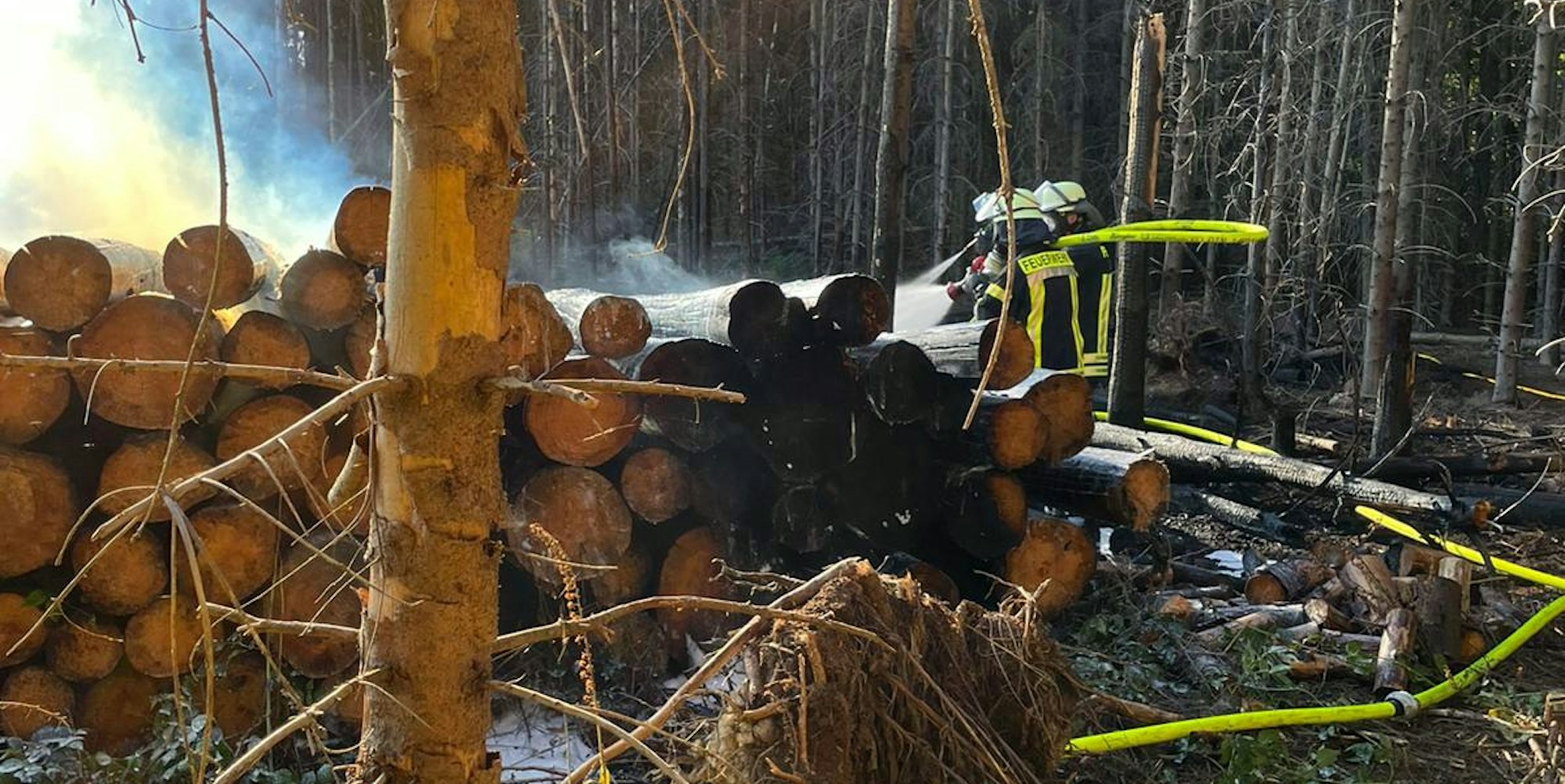 Zwei Holzstapel gingen am Sonntag bei Dürscheid in Flammen auf. Die Feuerwehr verhinderte, dass der Wald abbrannte.