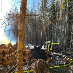 Zwei Holzstapel gingen am Sonntag bei Dürscheid in Flammen auf. Die Feuerwehr verhinderte, dass der Wald abbrannte.