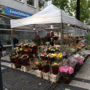 Blumenverkäufer Jörg Schmidt muss den Stand auf der Breitestraße räumen.
