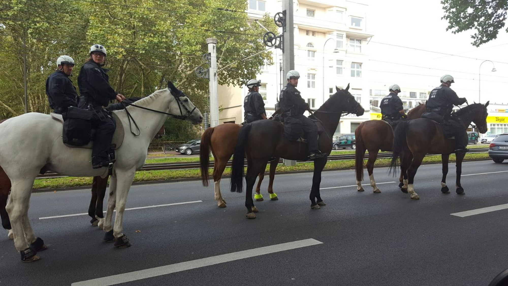 Aachener Weiher Pferde Polizei