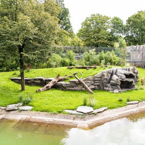 Das neu gestaltete Löwen-Gehege im Kölner Zoo