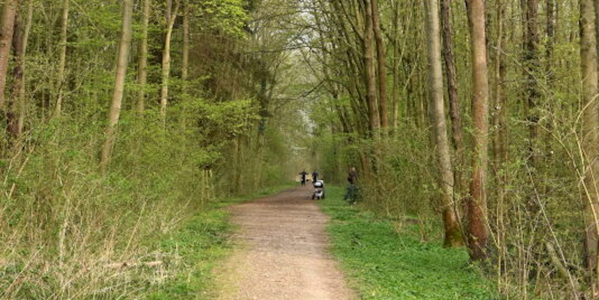 Die Wege im Stadtwald Kaninhütte sind wieder für Spaziergänger freigegeben.
