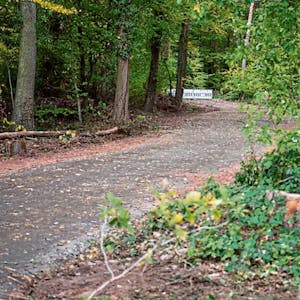 Zurzeit ist die Straße durch den Wald gesperrt, im Herbst soll sie erneut genutzt werden.