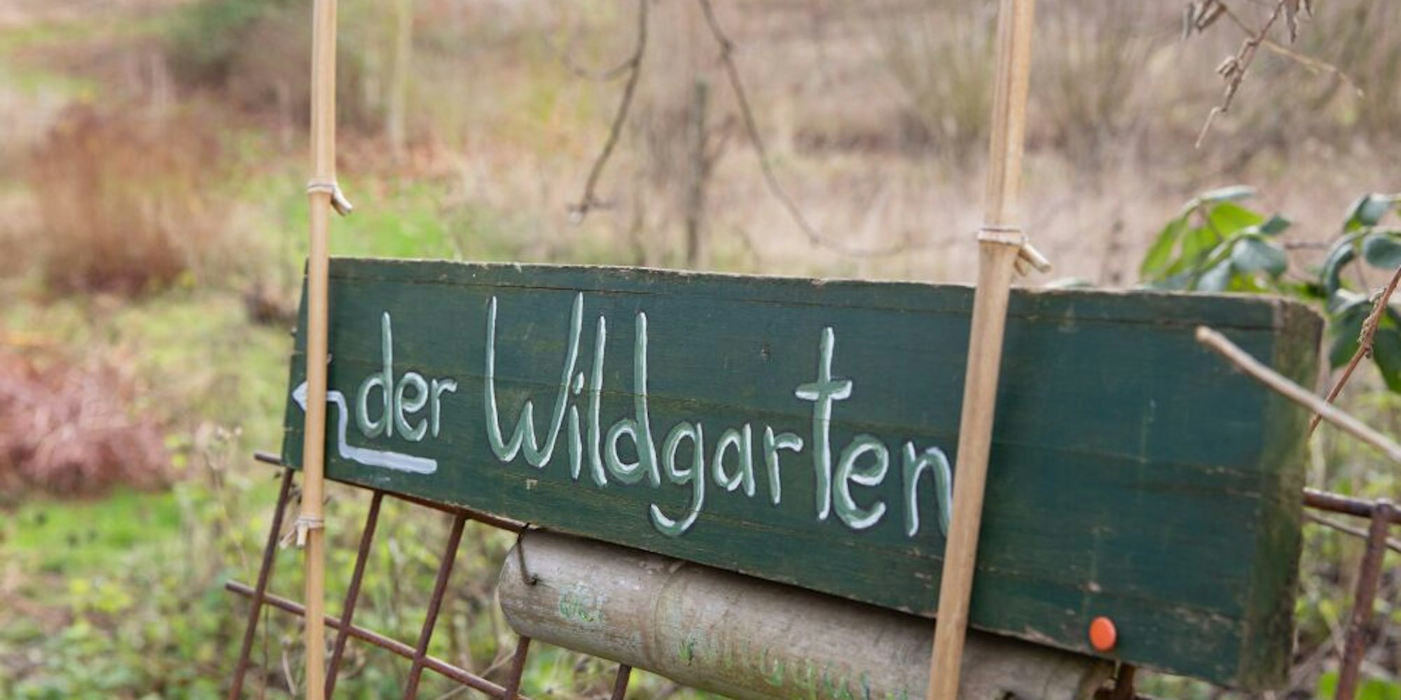 Seit 18 Jahren gibt es den Wildgarten in Brenig, das Gelände steht aber schon seit Mitte der 90er Jahre unter Naturschutz.