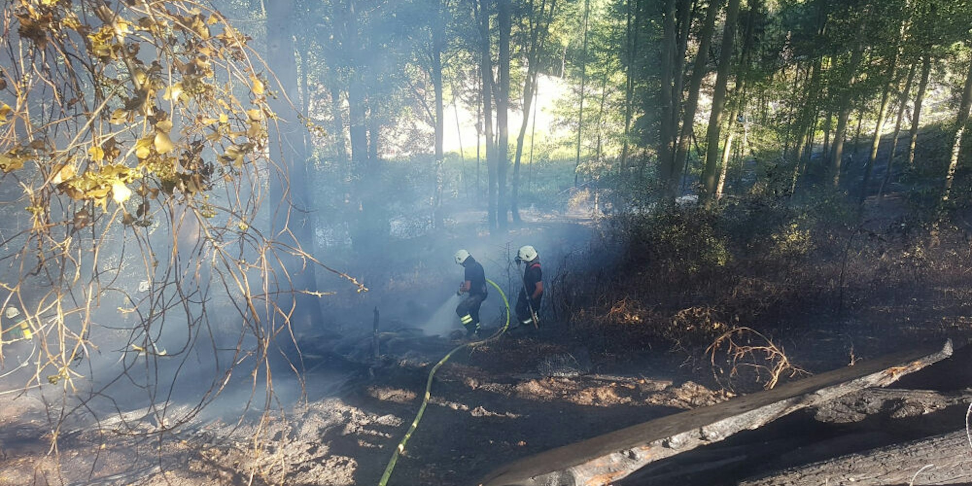 Mehr als 1000 Quadratmeter Unterholz in diesem Wald bei Overath-Eulenthal stehen in Flammen.