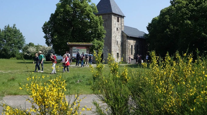 Die Ruine der Kirche St. Rochus lockt viele Wanderer  nach Wollseifen, das nur drei Kilometer von Vogelsang entfernt ist.