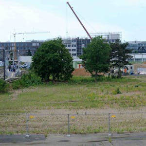 Blick vom ehemaligen Flughafengebäude auf die Grünfläche für die geplante Parkanlage am Butzweilerhof.