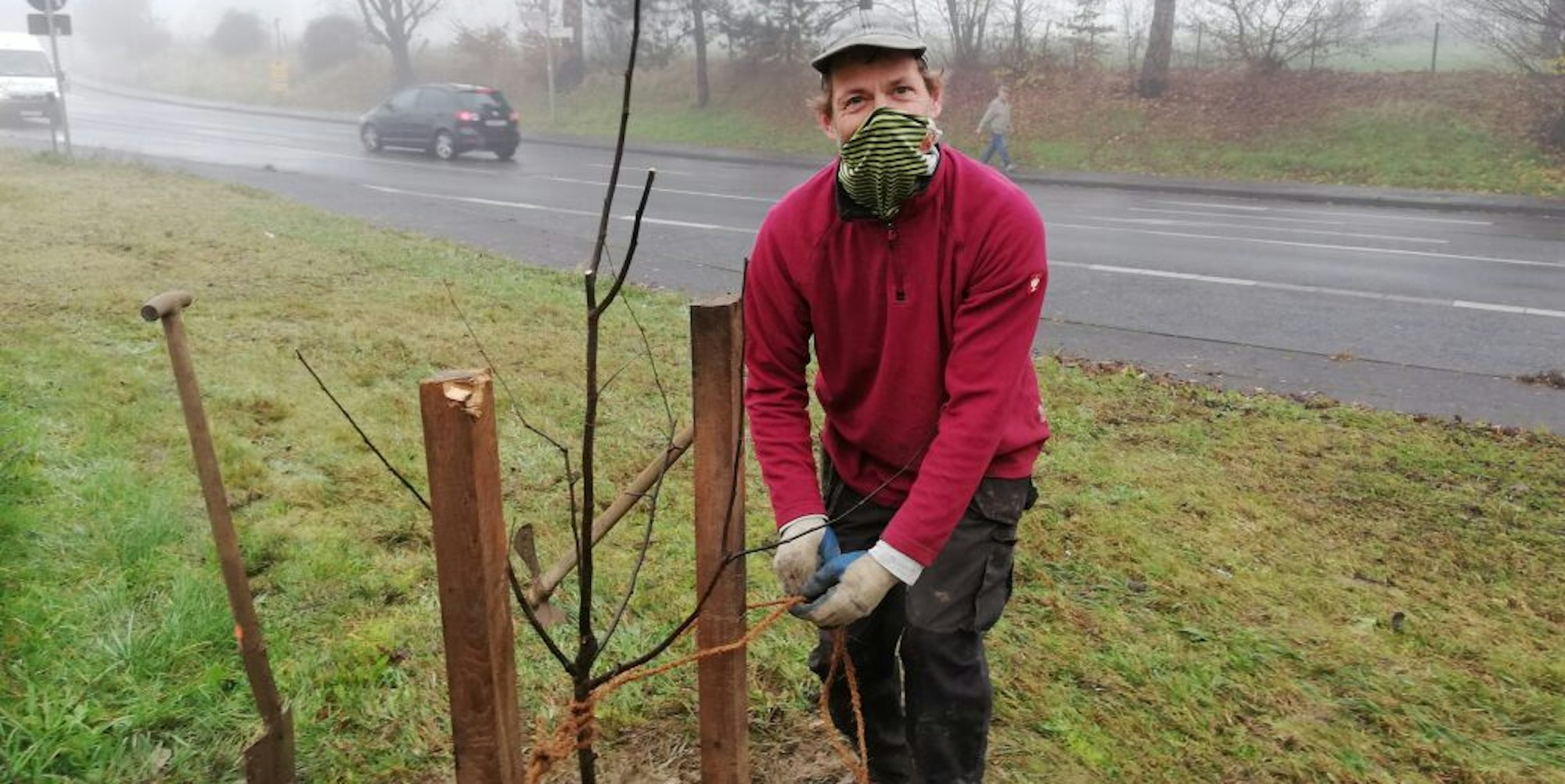 Baumpfleger Harald Hamel pflanzte gestern auch eine Quitte an der Kreuzung Hilgener- und Witzheldener Straße.