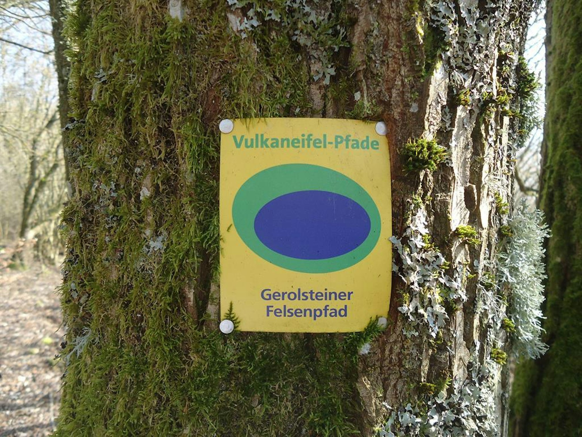 Vulkaneifel-gerolsteiner-felsenpfad Hedrich