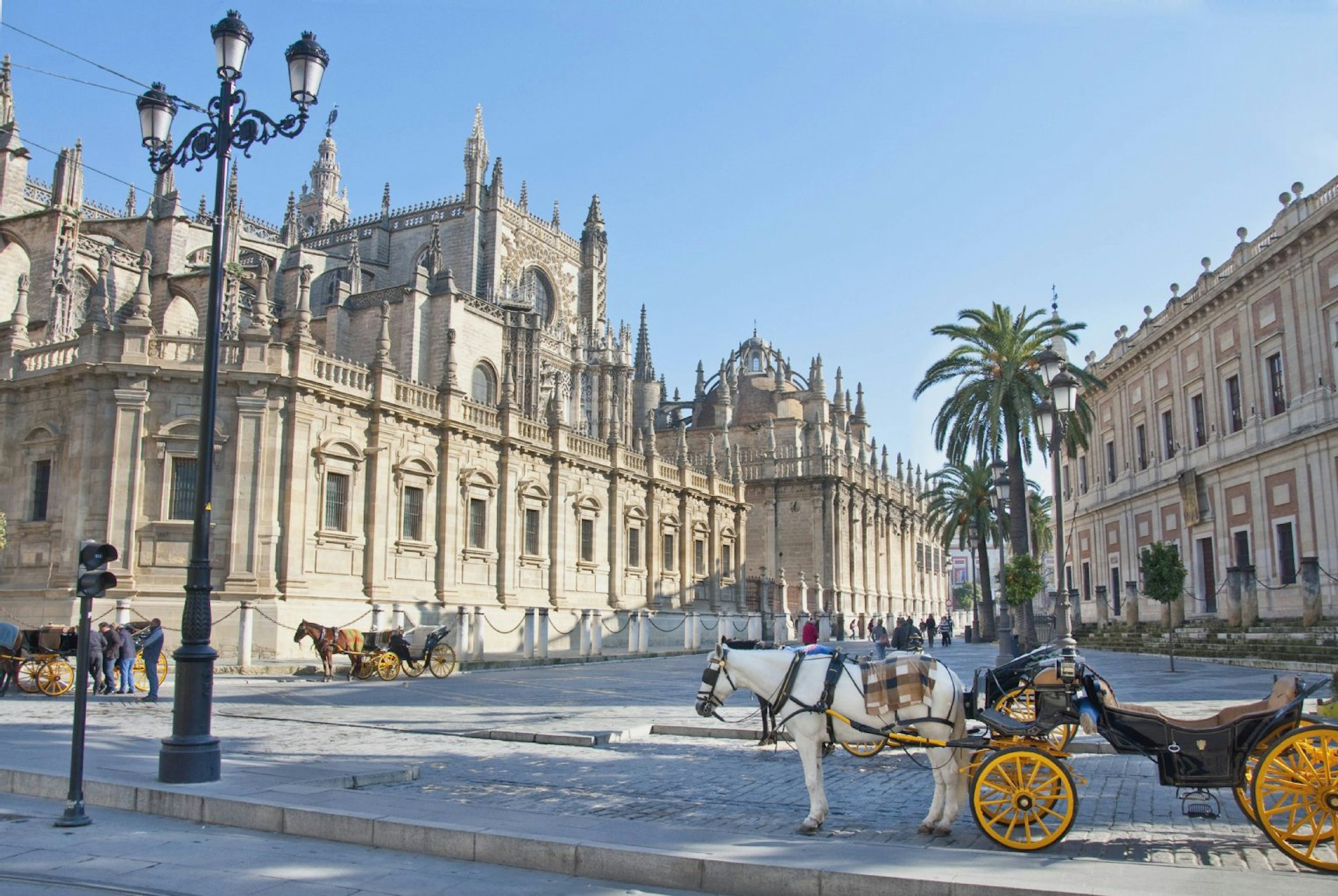 Pferdekutschen warten an der Kathedrale von Sevilla auf Gäste.