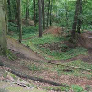 Sprungschanzen und steile Pisten haben die Mountainbiker im Wald angelegt.