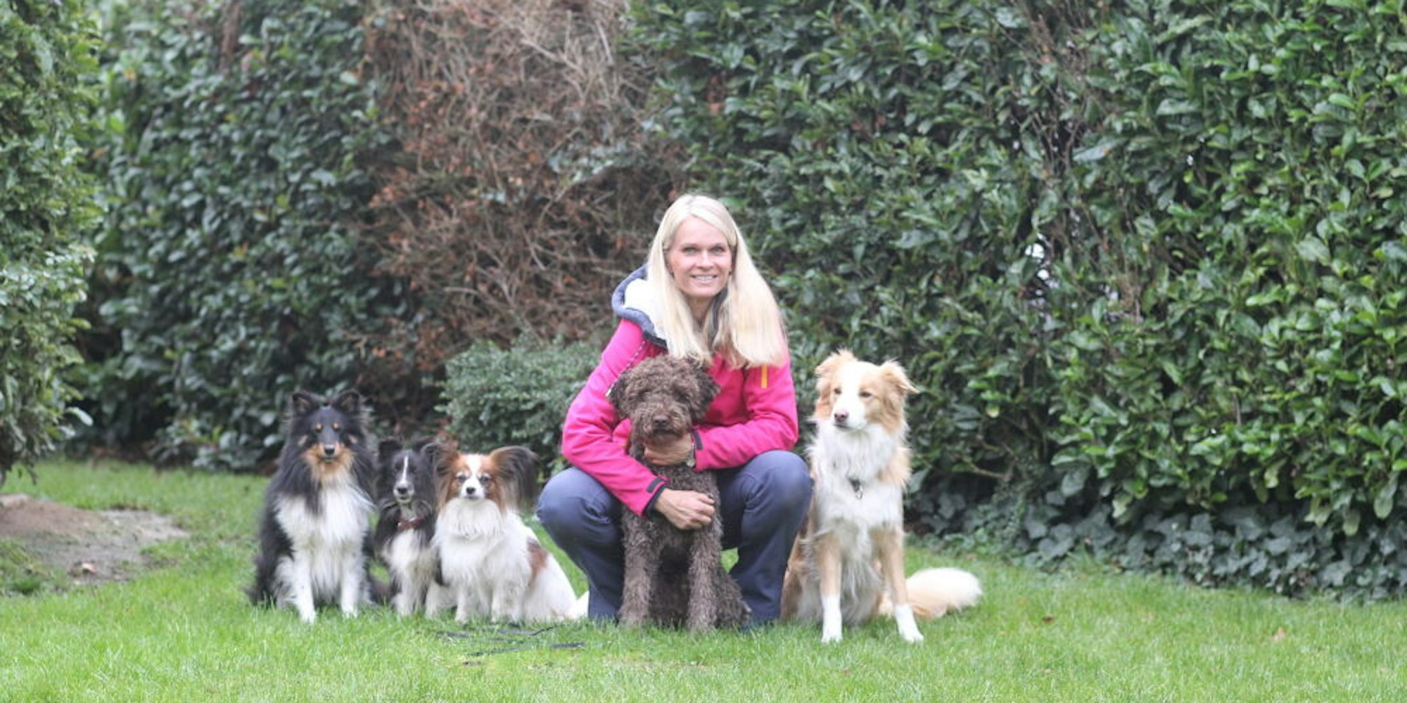 Den Umgang mit ihren Artgenossen und Besitzern sollen Hunde bei Meike Fröhlingsdorf lernen.