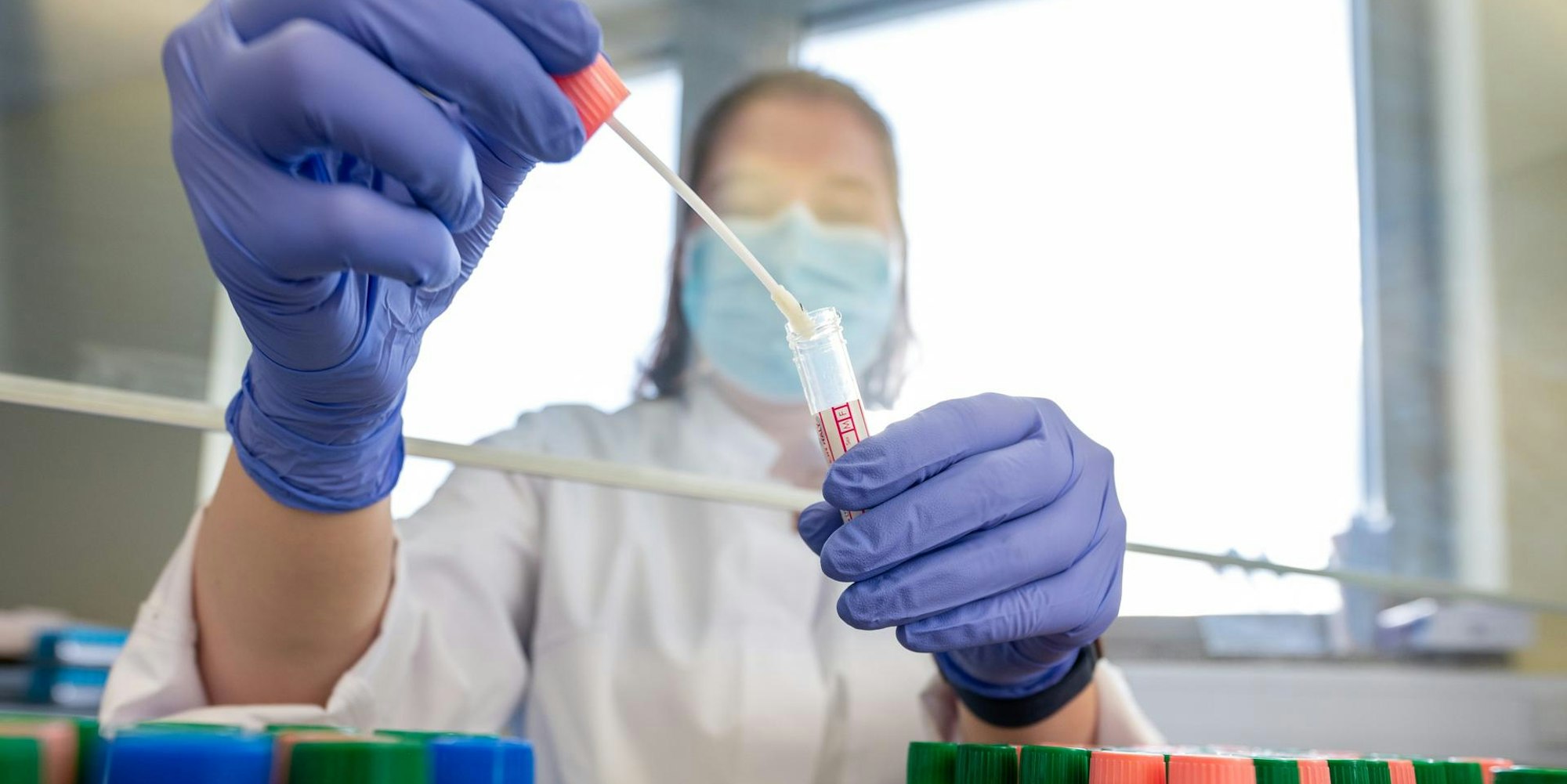 Symbolbild PCR-Test Labor