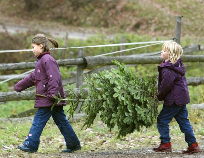 Zwei Kinder tragen einen Tannenbaum