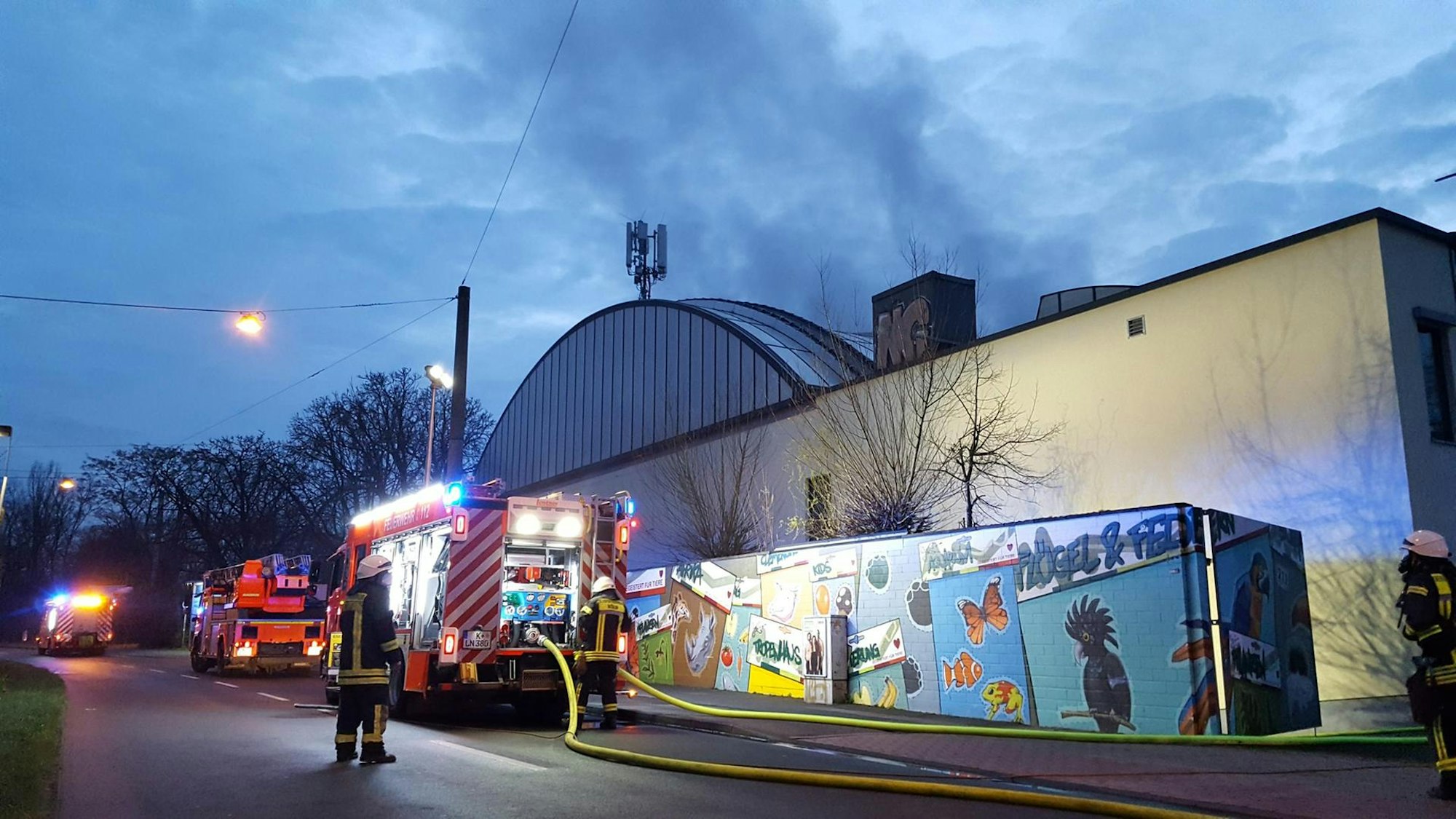 Der Feuerwehreinsatz im März 2022, als Tropenhaus ein Feuer ausbrach.