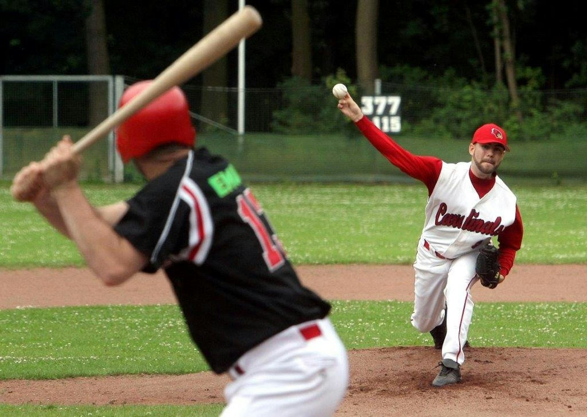 Die Cologne Cardinals spielen in der Baseball-Bundesliga.