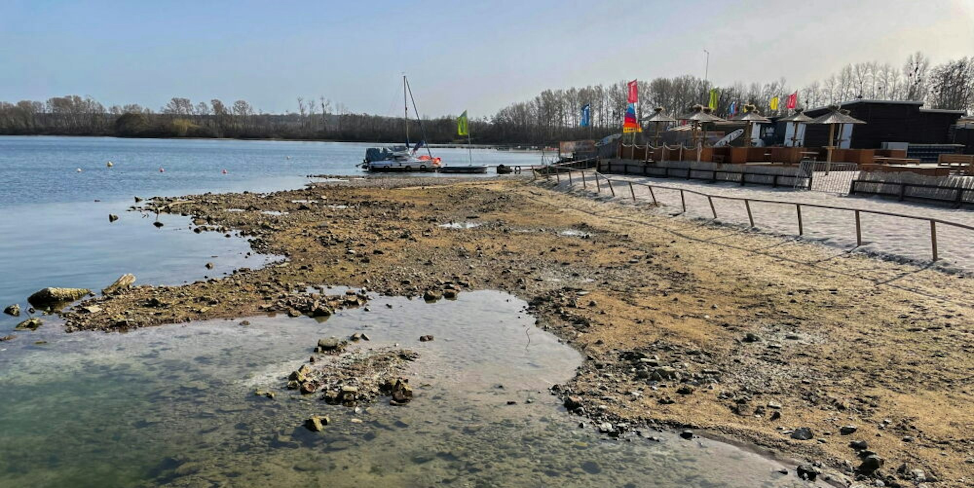Vor ein paar Jahren stand hier noch das Wasser. Jetzt sollen Teile verlandeter Ufer-Bereiche des Zülpicher Sees bepflanzt werden.