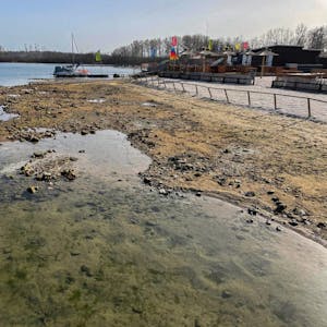 Vor ein paar Jahren stand hier noch das Wasser. Jetzt sollen Teile verlandeter Ufer-Bereiche des Zülpicher Sees bepflanzt werden.