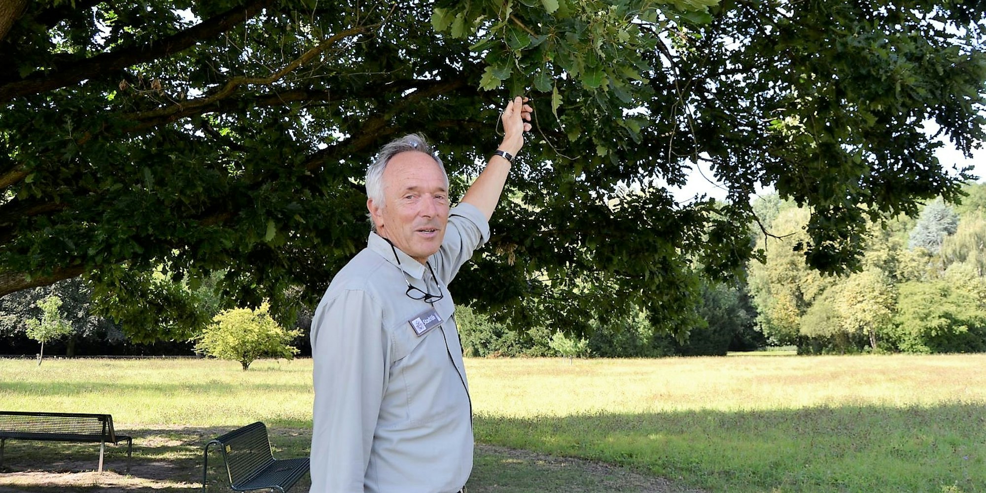 Forstamtsleiter Mark Bouwman weiß, was Bäume aushalten:Nicht alle Bäume waren der Trockenheit der vergangenen Jahre gewachsen.
