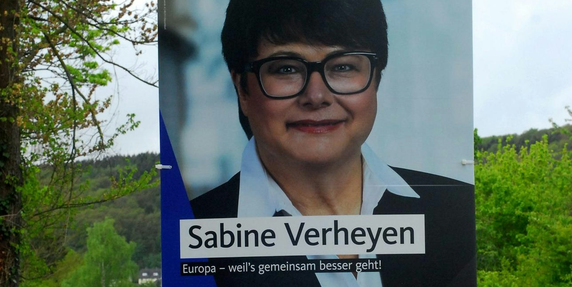 Die zu großen CDU-Plakate in Bad Münstereifel bringen die AfD auf die Palme.